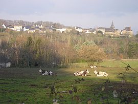 A general view of La Jaille-Yvon