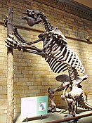 Skeleton of the giant ground sloth Megatherium americanum, a former denizen of the Pampas