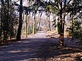 Kaiserberganlagen mit Botanischem Garten