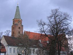 Brandenburgs domkyrka