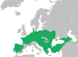 Euroopanlehtisammakon levinneisyys