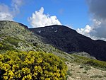 Sierra de Guadarrama