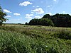 Poplar Farm Meadows, Langley