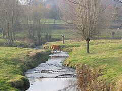 The river Gulp near Slenaken