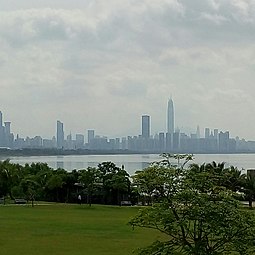 Skyline of Shenzhen (Futian section)