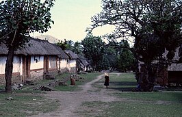 Tenganan (1981)