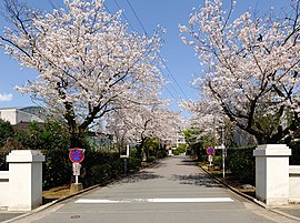 熊本高等学校正門