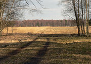 Blick in Richtung Moor