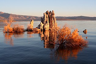 Plantes et formations rocheuses sortant de l'eau.