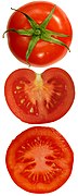 The seeds in a tomato fruit grow from placental areas at the interior of the ovary. (This is axile placentation in a bi-locular fruit.)