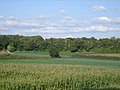 Paysages du val d'Arnoult, près de Trizay