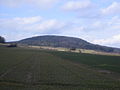 Berg Altenburg bei Niedenstein