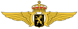 Embleem Luchtcomponent van Defensie