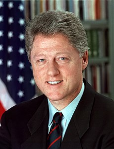 Clinton v roku 1993