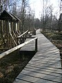 Bohlensteg im Roten Moor