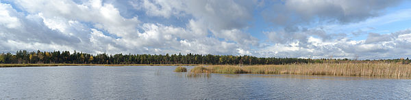 Ruila järv