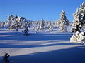 Vinter på Blefjell