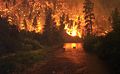 Image 7Elk Bath, an award-winning photograph of elk avoiding a wildfire in Montana (from Wildfire)