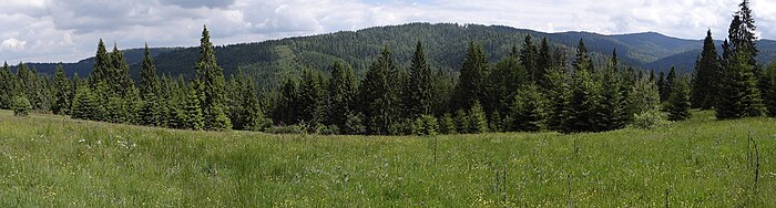 Panorama widokowa z polany Rożnowej na grzbiet Średniego Wierchu i Turbacz