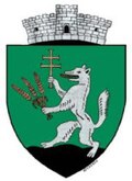 Wappen von Arcuș