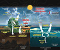 Image 43This diagram of the carbon cycle shows the movement of carbon between land, atmosphere, and oceans in billions of metric tons of carbon per year. Yellow numbers are natural fluxes, red are human contributions, white are stored carbon. (from Carbon dioxide in Earth's atmosphere)