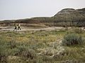 Dinosaur Provincial Park