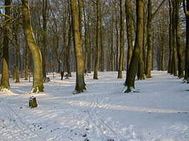 Mont de l'Enclus sous la neige