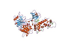 PDB 1tco EBI.jpg