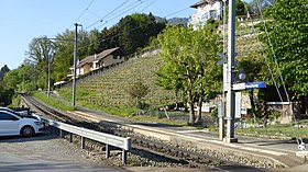 Vue d'ensemble de la gare de Planchamp.