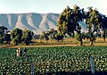 Image 20Landscape of the Mesoamerican highlands (from Mesoamerica)