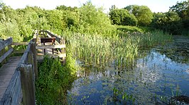 Winnersh Meadows