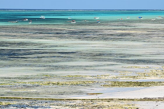 Indian Ocean at low tide