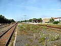 Der verwachsene Bahnsteig zu den Gleisen 4 und 5 des Bahnhofs Alzey