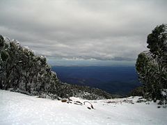 View from the summit of Mt. Baw Baw