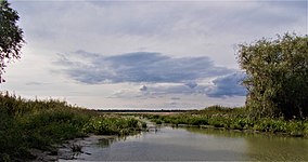 Lacul Nebunu (în fundal) văzut de pe canalul Șontea