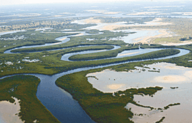 Image illustrative de l’article Delta du Saloum