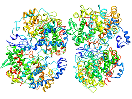 Cyclo-oxygenase 2