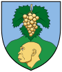 Wappen von Vértesszőlős