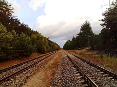 Chemin de fer dans la forêt.