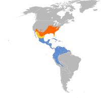 Arealo de somera tanagro. Oranĝkolore: reprodukta arealo; blue: vintra arealo; flave: tramigraj areoj