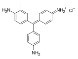 Fuchsine (hydrochloride salt)