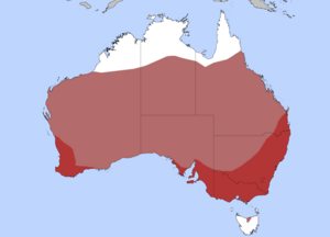 Distribuado de la Aŭstralia koturno Malhelruĝe = komune helruĝe = nomadece