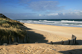 Düne und Strand am Ninety Mile Beach