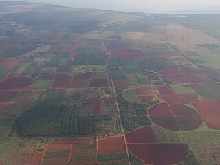 Campagne de Batabanó et la ville au fond, vue depuis La Julia