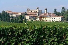 A vineyard in Franciacorta