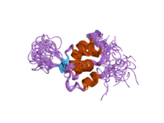 2d2w: Solution structure and Dynamics of the DNA-Binding Domain of Myocyte Nuclear Factor