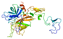 Protein PROC PDB 1aut.png