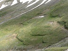 Solifluxió. Efectes sobre el pendent