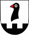 Wappen von Surcasti