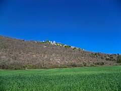 Champs de blé au pied du Haut Montsalier.